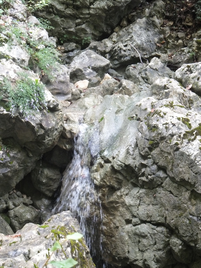 Meditation und Achtsamkeit